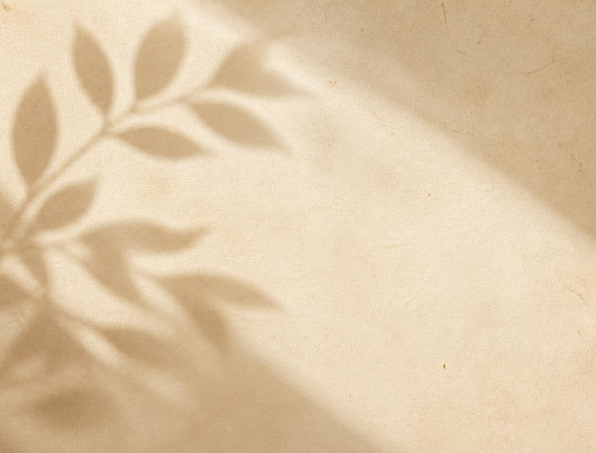 Soft organic leaf shadow on warm paper texture
